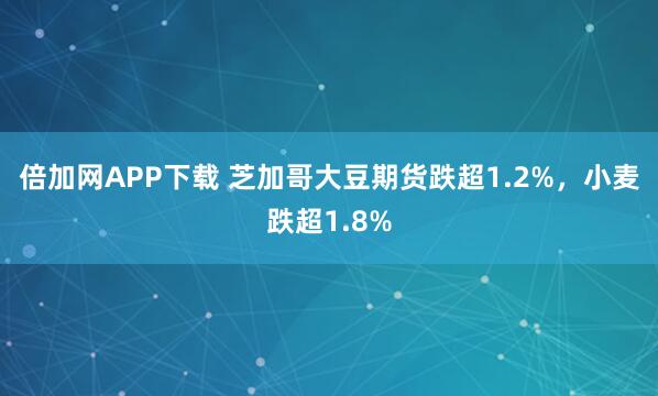 倍加网APP下载 芝加哥大豆期货跌超1.2%，小麦跌超1.8%