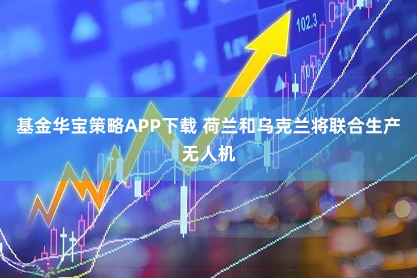 基金华宝策略APP下载 荷兰和乌克兰将联合生产无人机