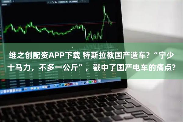 维之创配资APP下载 特斯拉教国产造车? “宁少十马力,不多一公斤”,戳中了国产电车的痛点?