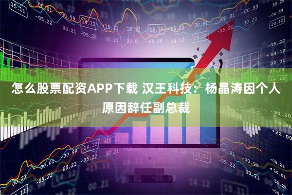 怎么股票配资APP下载 汉王科技：杨晶涛因个人原因辞任副总裁