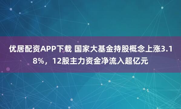 优居配资APP下载 国家大基金持股概念上涨3.18%,12股主力资金净流入超亿元